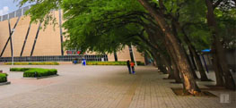 menuX8